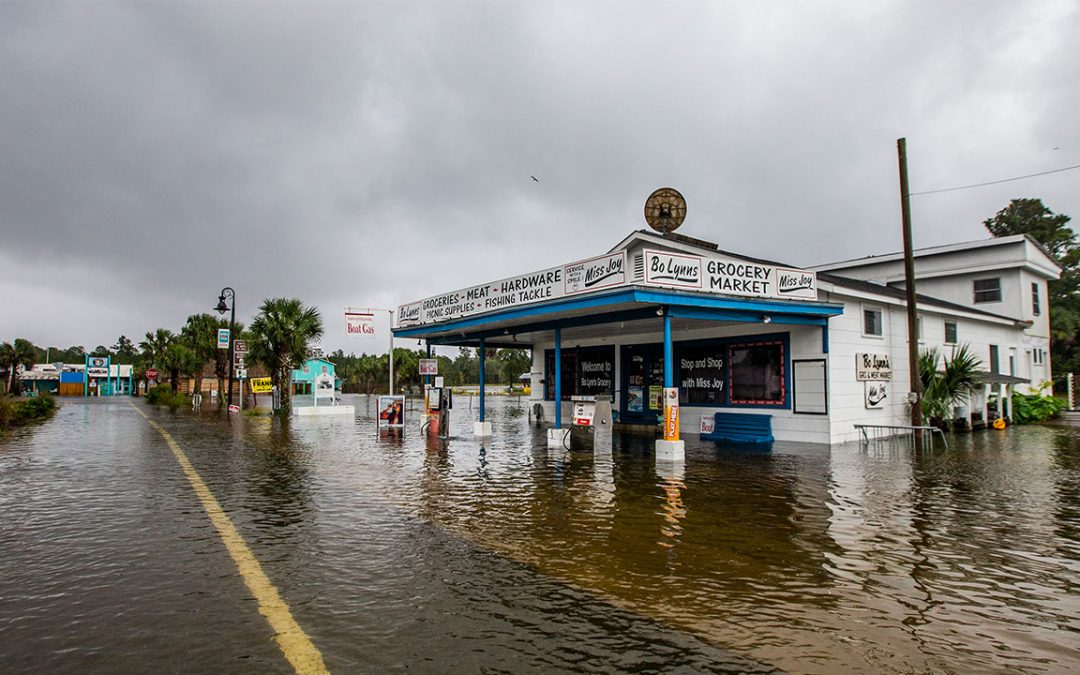 Hurricane Michael Relief